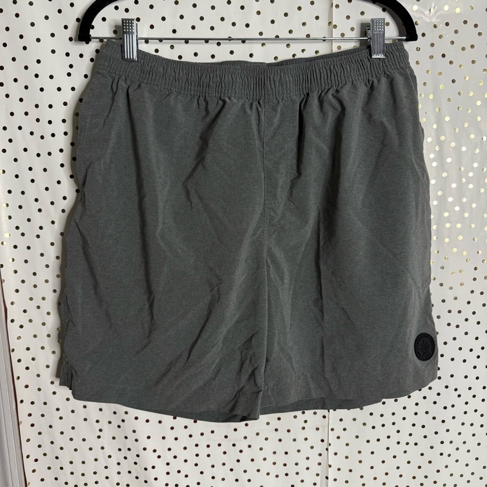 Chubbies Men's Gray Shorts